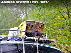 2011款 2.4T 手动 柴油四驱超豪华版 7座