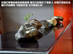 2011款 2.4T 手动 柴油四驱超豪华版 7座