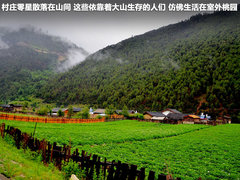2011款 2.4T 手动 柴油四驱超豪华版 7座