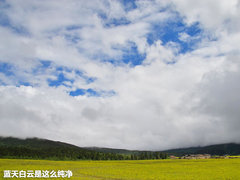 2011款 2.4T 手动 柴油四驱超豪华版 7座
