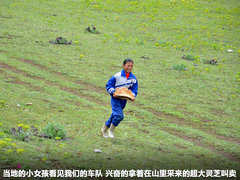 2011款 2.4T 手动 柴油四驱超豪华版 7座