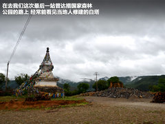 2011款 2.4T 手动 柴油四驱超豪华版 7座