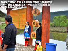 2011款 2.4T 手动 柴油四驱超豪华版 7座