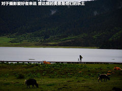 2011款 2.4T 手动 柴油四驱超豪华版 7座