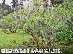 2011款 2.4T 手动 柴油四驱超豪华版 7座