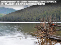 2011款 2.4T 手动 柴油四驱超豪华版 7座