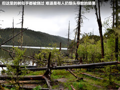 2011款 2.4T 手动 柴油四驱超豪华版 7座