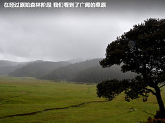 2011款 2.4T 手动 柴油四驱超豪华版 7座