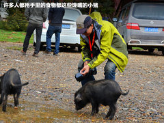2011款 2.4T 手动 柴油四驱超豪华版 7座