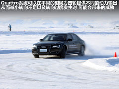 2011款 6.3FSI W12 quattro 