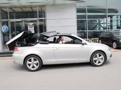 2011款 The EOS 2.0TSI 
