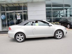2011款 The EOS 2.0TSI 