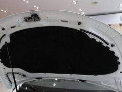 2011款 The EOS 2.0TSI 