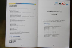 2009款 2.4 手动 4WD行政型(国Ⅳ) 5座