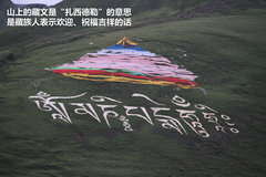2009款 2.4 手动 4WD行政型(国Ⅳ) 5座