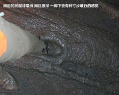2009款 2.4 手动 4WD行政型(国Ⅳ) 5座