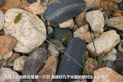 2009款 2.4 手动 4WD行政型(国Ⅳ) 5座