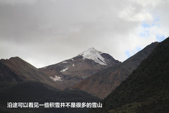 2009款 2.4 手动 4WD行政型(国Ⅳ) 5座