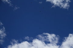 2009款 2.4 手动 4WD行政型(国Ⅳ) 5座