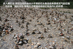 2009款 2.4 手动 4WD行政型(国Ⅳ) 5座