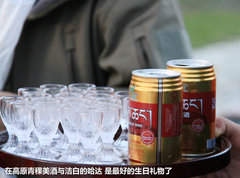 2009款 2.4 手动 4WD行政型(国Ⅳ) 5座