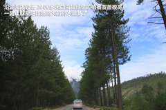 2009款 2.4 手动 4WD行政型(国Ⅳ) 5座