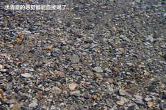 2009款 2.4 手动 4WD行政型(国Ⅳ) 5座