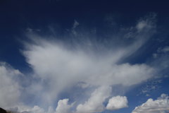 2009款 2.4 手动 4WD行政型(国Ⅳ) 5座