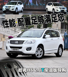 2011款 2.0T 手动 柴油两驱尊贵型 5座