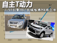 2011款 2.0T 手动 柴油两驱尊贵型 5座