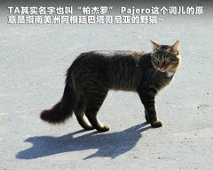 2011款 3.0 自动 运动导航版7座