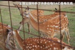 2011款 3.0 自动 运动导航版7座