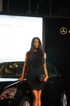 2011款 E300L 3.0L 优雅型