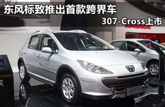 2011款 1.6L 手动 Cross
