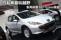 2011款 1.6L 手动 Cross