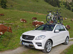 2012款 ML350 3.5L 动感型 5座