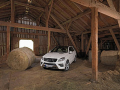 2012款 ML350 3.5L 动感型 5座