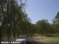 2012款 1.5T 手动 尊贵型