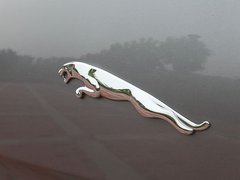 2012款 5.0 自动 全景奢华版