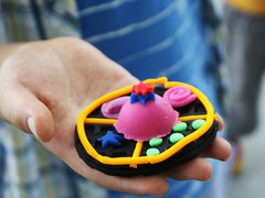 2012款 520Li 2.5L 典雅型