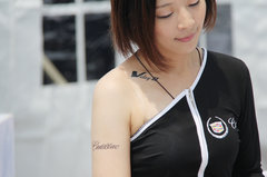 2012款 3.0L 自動 風尚運動版
