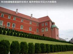 2013款  基本型