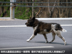 2012款 200h 1.8L CVT 豪华版