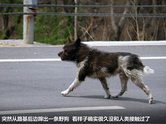 2012款 200h 1.8L CVT 豪华版