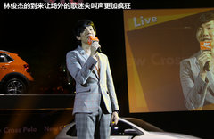 2012款 Cross Polo 1.6L MT 