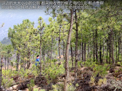 2012款 5.0 自动 HSE汽油版 7座