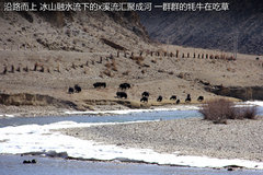 2012款 5.0 自动 HSE汽油版 7座