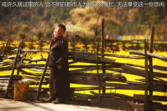 2012款 5.0 自动 HSE汽油版 7座