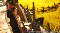 2012款 5.0 自动 HSE汽油版 7座