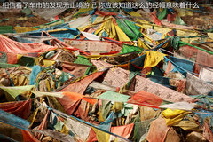 2012款 5.0 自动 HSE汽油版 7座
